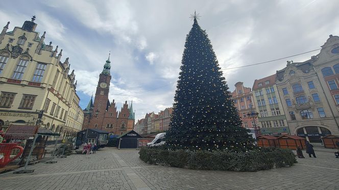 Choinka za milion złotych stanęła we Wrocławiu. Tak wygląda luksusowe drzewko 