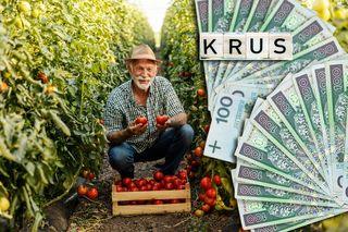 Co trzecią emeryturę rolniczą przynosi listonosz. KRUS traci na tym 70 mln zł rocznie