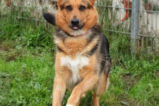 Ofelia na dom czeka w COZ