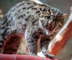 W Orientarium ZOO Łódź zamieszkały taraje