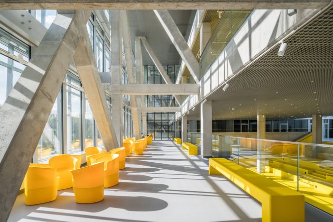 Dizajn na zawsze. Tomek Rygalik