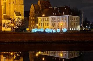 Idą święta! We Wrocławiu montują iluminacje. Na ulicach gwiazdy, śnieżynki i pająki 