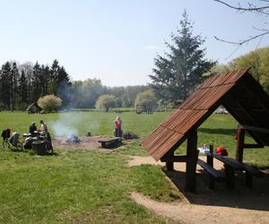 Miejsca na piknik w Warszawie