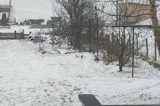 Pierwszy snieg w Polsce! Małopolska, Śląsk, Podhale i Podkarpacie pod śniegiem! [ZDJĘCIA]