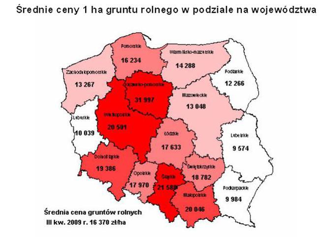 Średnie ceny 1 ha gruntu rolnego w podziale na województwa
