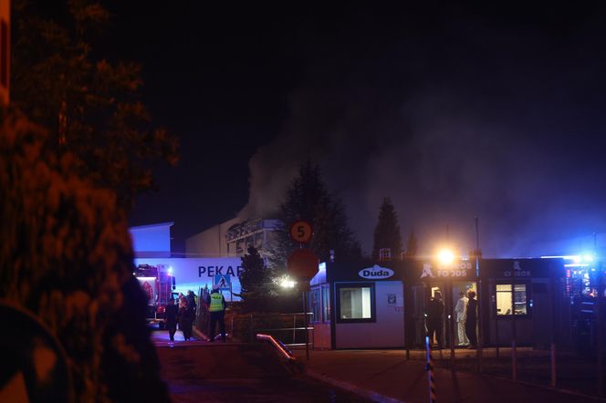 Pożar hali w Sosnowcu