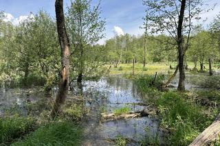 Największa pustynia w Europie leży w Małopolsce. „Róża Wiatrów” turystycznym hitem