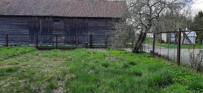  Jedzbark – nieruchomość zabudowana fot. 3