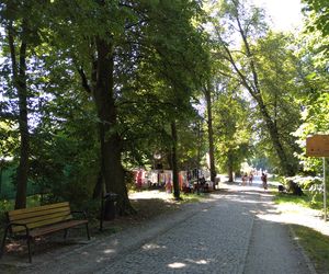 To najmniejsze miasta w woj. lubelskim [TOP 20]