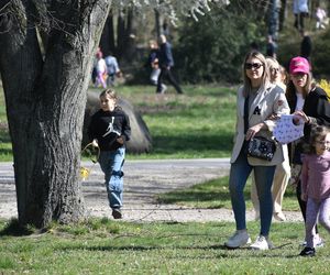 Miasto Piła