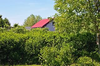 Ceny działek ROD w Szczecinie