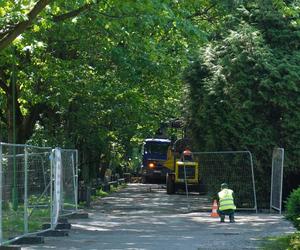 Rewitalizacja Parku Planty. Tak wyglądają majowe prace w centrum Białegostoku