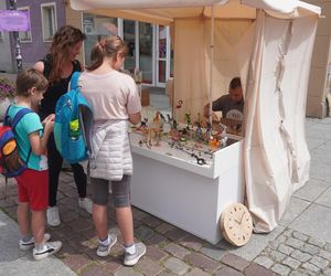 Dni Olsztyna 2025. Dziesiątki wystawców i setki olsztynian na Jarmarku Jakubowym