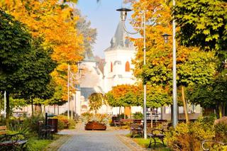 13. miejsce: Nowy Korczyn (powiat buski)