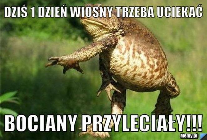 Pierwszy Dzień Wionsy - memy