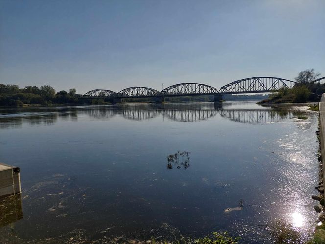 Wisła w Fordonie wyraźnie przybrała i przyspieszyła. Duża woda niesie mnóstwo śmieci i zanieczyszczeń