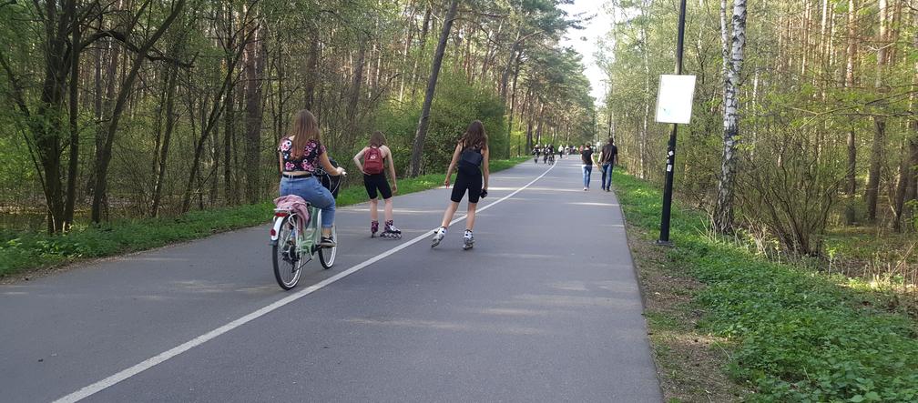 Wiosna w Myślęcinku
