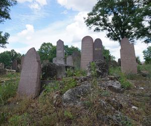 Zabytkowy cmentarz żydowski z XIX wieku w Białymstoku. Ostatnia taka ocalała nekropolia w mieście