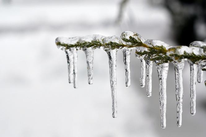 Zima [zdjęcie poglądowe]