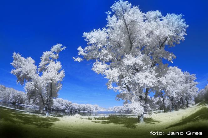 Bełchatów: Fotograficy wracają na sale wystawowe!  BTF zaprasza na wernisaż