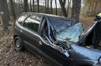 Wypadek na DK 10 w Solcu Kujawskim! Osobówka wypadła z drogi i uderzyła w drzewo [ZDJĘCIA]