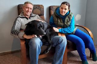 Suczka Niunia uciekła w Nowy Rok. Znaleźli ją po dwóch miesiącach. Tej radości nigdy nie zapomnę 