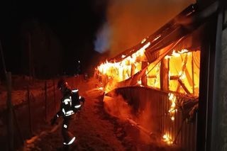 Płonął jak pochodnia. Kurnik w Gliniku doszczętnie zniszczony!