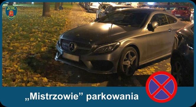 Warszawscy mistrzowie parkowania w listopadzie 2020