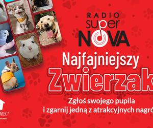 Najfajniejszy Zwierzak w Polsce to... Zgłoś swojego pupila i zgarnij atrakcyjne nagrody [KONKURS]