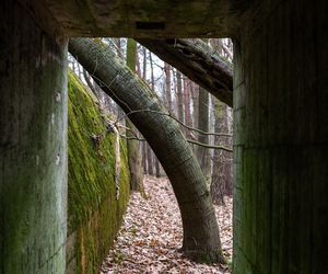  AI wskazała najgorsze miasto Opolszczyzny. Dramat i marazm, z którego nie ma wyjścia