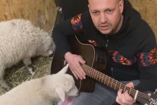 Leczy owce muzyką