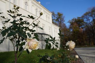 Pałac w Baranowicach jesienią
