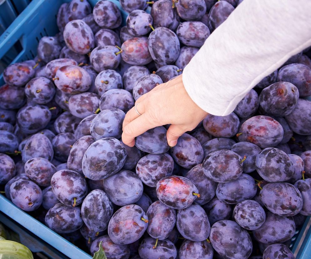 Przepis na nalewkę ze śliwek węgierek. Pamiętaj o triku z pestkami