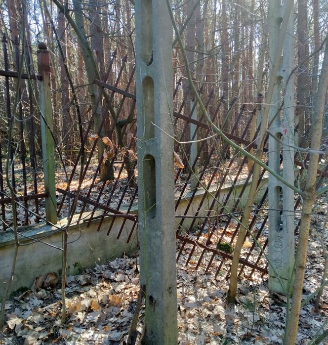 Miłośnik metalurgii nie mógł oprzeć się... ogrodzeniu. Zabrał je ze sobą!