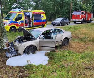 Samochód uderzył w drzewo i zapalił się. Kierowca nie przeżył