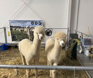 ZooPark w Lublinie. Dzień drugi