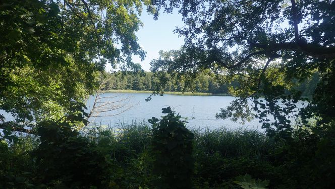 To jedno z największych jezior w Olsztynie. Kusi turystów piaszczystymi plażami