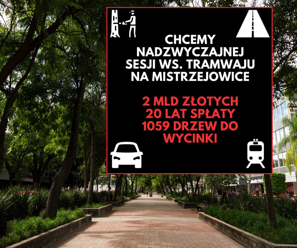 Kraków. Protest przeciw wycince drzew pod budowę linii tramwajowej do Mistrzejowic