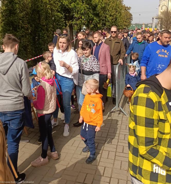 Piekary Śląskie. Świąteczne zbieranie jajek wielkanocnych