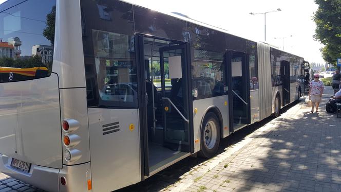 Pierwszy kurs autobusu przegubowego w Grudziądzu