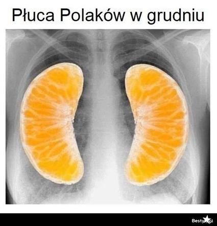 Najlepsze memy o świętach. Te obrazki rozbawią Cię do łez! Tak wygląda Boże Narodzenie oczami internautów [TOP 75]