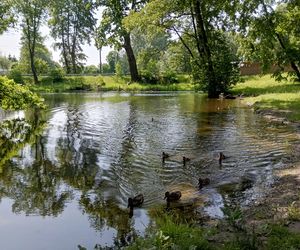 Parki podworskie w powiecie gdańskim