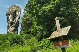 Maczuga Herkulesa w Ojcowskim Parku Narodowym 