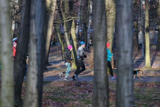 Parkrun Katowice w Parku Kościuszki