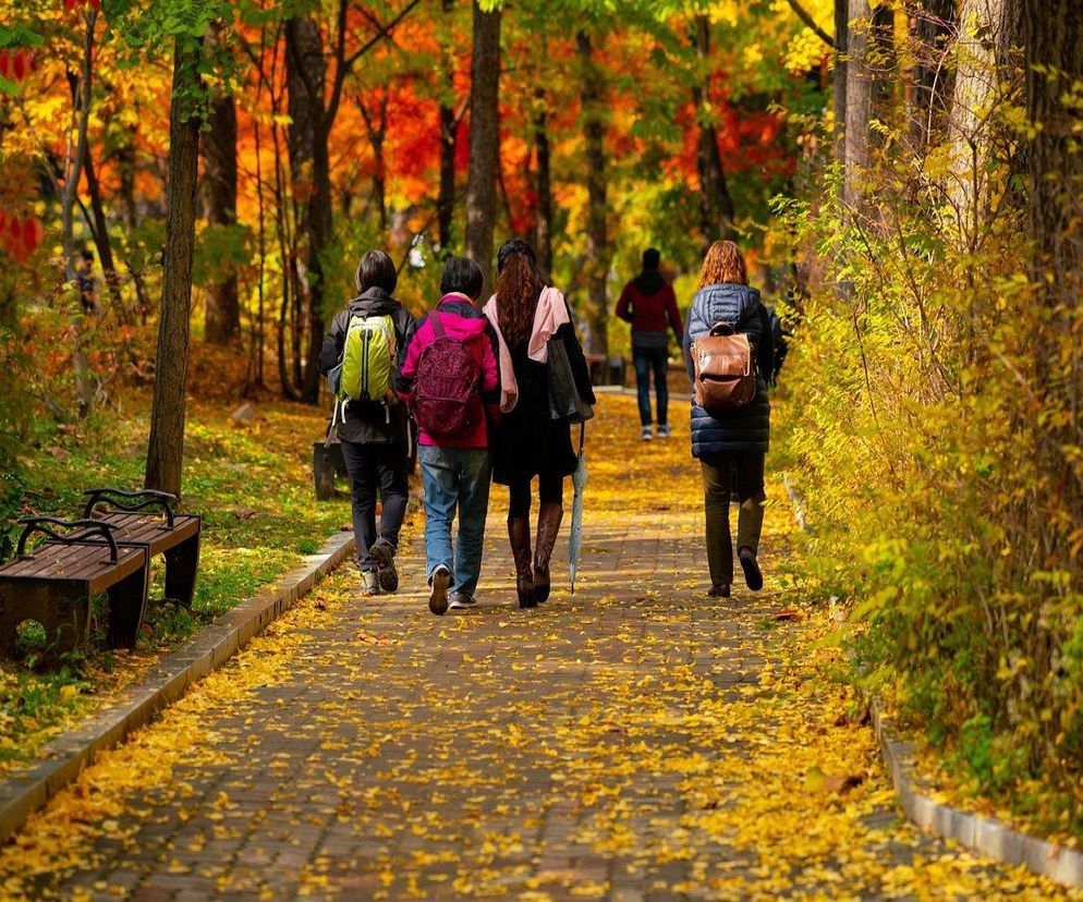 Prognoza pogody na listopad 2025 r.