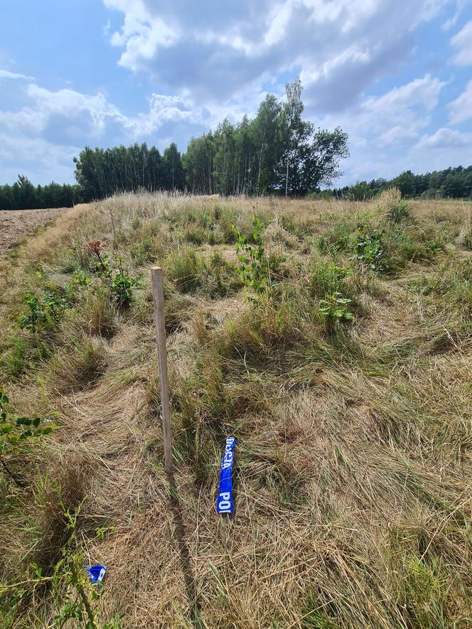 Zabójstwo w Sołonce. Mąż miał zabić żonę [GALERIA]