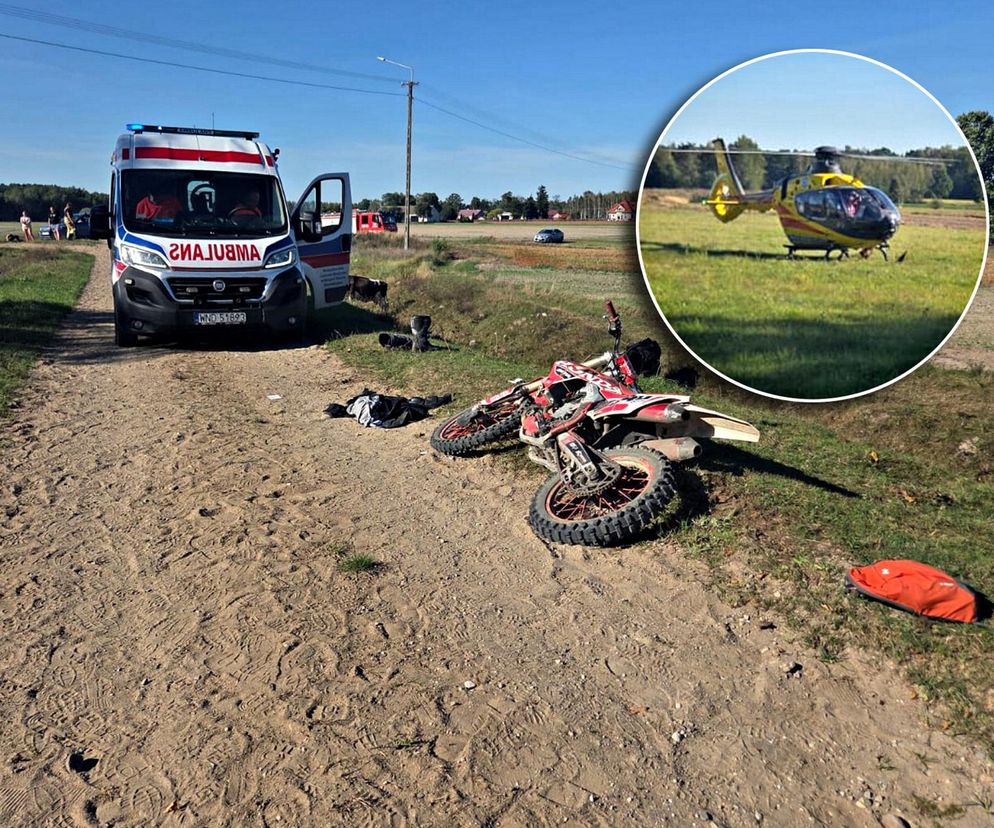 Tragedia na drodze. Wjechał w krowę motocyklem. Zwierzę nie żyje, lądował śmigłoiwec LPR
