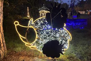 Lumina Park w Poznaniu. Multimedialny spacer w milionie świateł powraca w nowej odsłonie