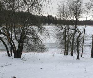 Konie tonęły w jeziorze. Z pomocą ruszyli strażacy. Nie wszystkie udało się uratować