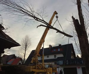 Halny w Tatrach złamał drzewo, konar spadł na dom. Nie kursuje kolejka na Kasprowy